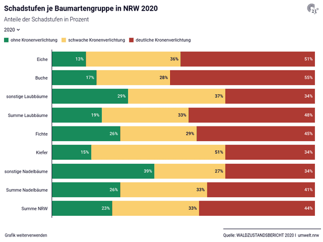 Schadstufen je Baumartengruppe in NRW 2020